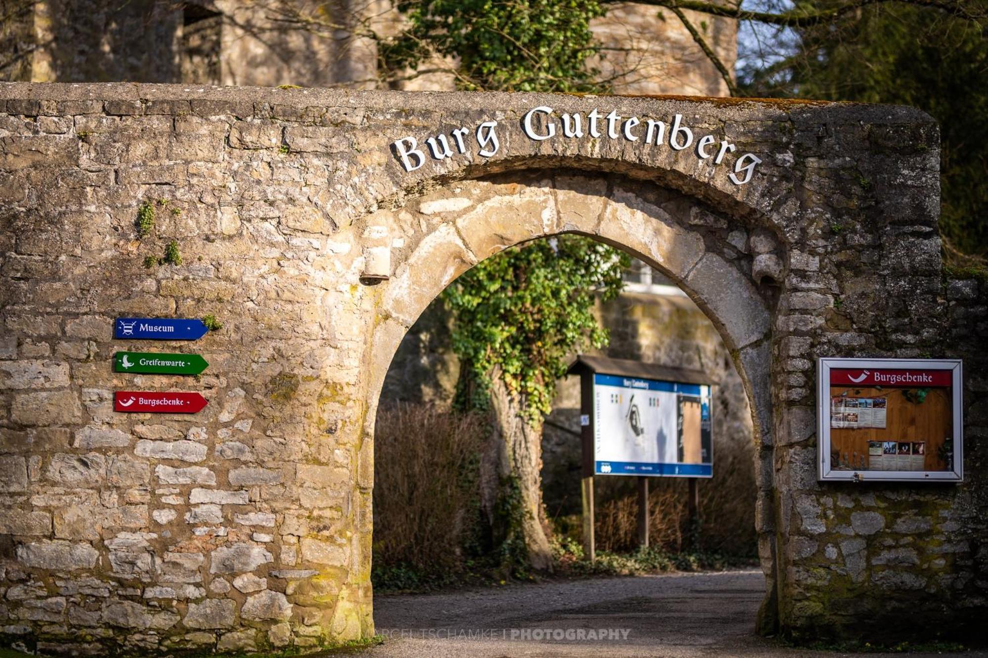Haßmersheim Wohnen Auf Der Ritterburgヴィラ エクステリア 写真